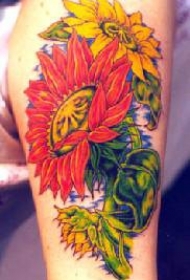肩部黄色和红色向日葵纹身图案