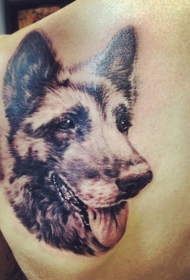 肩部逼真的德国牧羊犬纹身图片