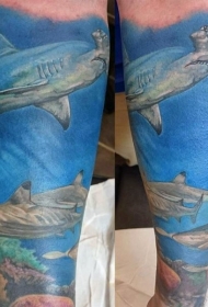 手臂现实主义风格彩色水下鲨鱼纹身图案
