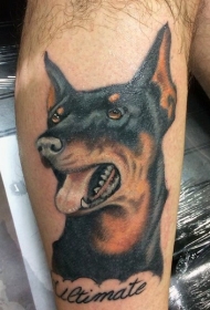 逼真的彩色杜宾犬肖像英文字母纹身图案