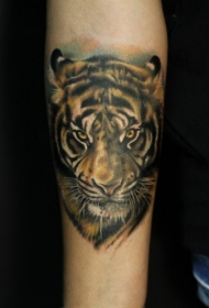 手臂现实主义风格的彩色老虎纹身