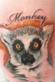 写实逼真的狐猴头像和字母纹身图案