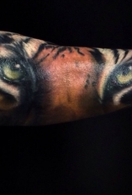 手臂令人惊叹的非常自然老虎脸部纹身图案