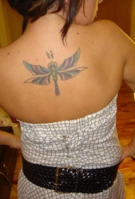 女生背部彩色部落蜻蜓纹身图案