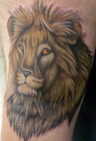 肩部彩色逼真狮子头纹身图案