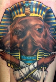 令人印象深刻的彩色埃及狗肖像纹身图案