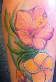 腿部彩色好看的木槿花纹身图案