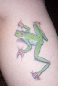 腿部彩色逼真的小绿蛙纹身图案