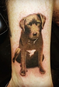 可爱逼真的彩色狗纹身图案