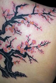 肩部彩色大樱桃树纹身图案