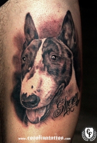 精致的写实风格狗头像字母纹身图案