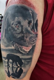 大臂写实彩色小狗纹身图案