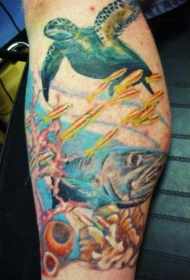 腿部彩色航海主题乌龟与鱼纹身图片
