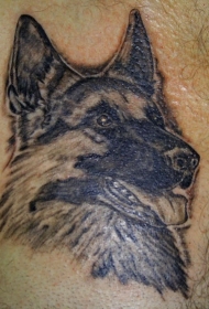 腿部逼真的德国牧羊犬肖像纹身图案