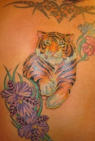 背部彩色芙蓉花与老虎纹身图片