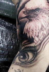 华丽细致的彩色鹰头纹身图案