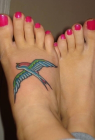 女性脚背彩色燕子纹身图案