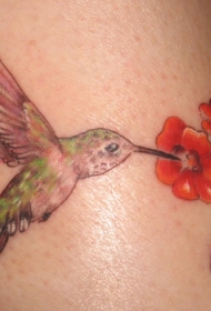手臂彩色蜂鸟吃花蜜的纹身图案
