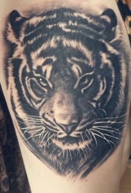 腿部逼真的老虎肖像纹身图案