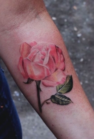 手臂逼真的粉色玫瑰纹身图案