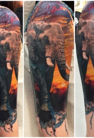 胳膊写实风格彩色大象在沙漠纹身图案