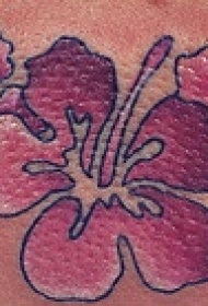腹部彩色简约的木槿花纹身图案