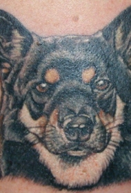 牧羊犬彩色纹身图案