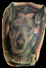 一只名叫彪马的狗肖像纹身图案