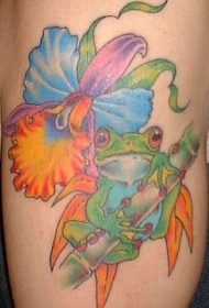 腿部彩色五颜六色青蛙与花朵纹身