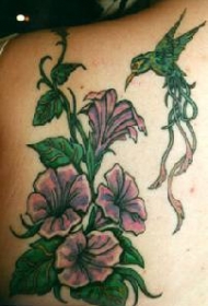 肩部彩色花朵植物蜂鸟纹身图案