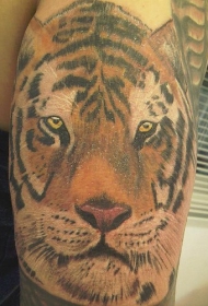 手臂彩色逼真的老虎头纹身图案