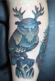 手臂老派风格的彩色猫头鹰纹身图案