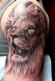 肩部棕色逼真的狮子头纹身图片