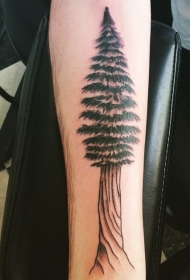 手臂灰色简单的大松树纹身图片