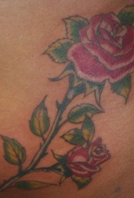 脖子彩色逼真的玫瑰花纹身图案