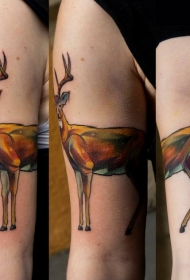 手臂插画风格彩色鹿头纹身图案