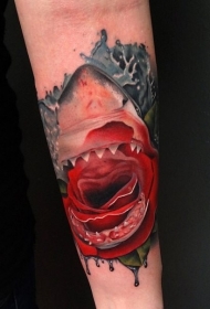手臂彩色玫瑰和鲨鱼纹身图案