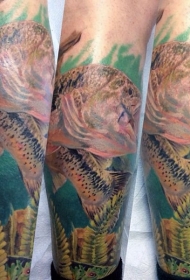 腿部巨大的彩色逼真鱼纹身图案
