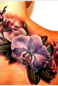 女生肩部大面积的彩色兰花纹身图案