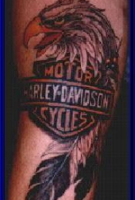 哈雷戴维森鹰和羽毛纹身图案
