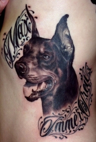 黑色杜宾犬和英文字母纹身图案