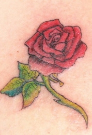 肩部彩色红玫瑰纹身图案