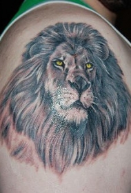 男性肩部彩色金眼狮子头纹身图片