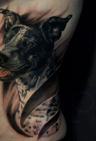 侧肋逼真的彩色狗肖像纹身图案