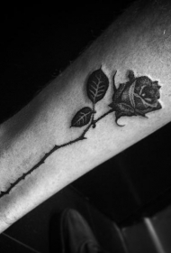 腿部带刺的玫瑰花纹身图案