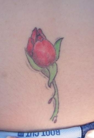 优雅的红玫瑰纹身图案