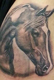 男性肩部彩色马头纹身图案