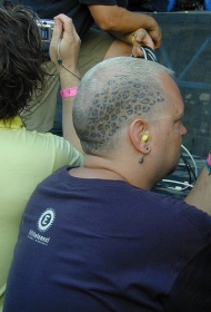男性头部彩色豹纹纹身图案