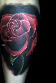 手臂逼真的彩色红玫瑰纹身图案