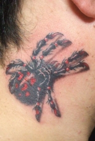 男性脖子逼真的彩色蜘蛛纹身图案